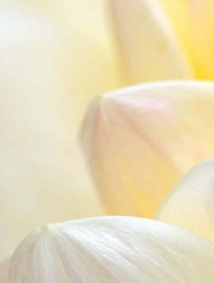 foto aspirazionale vidal verticale 01