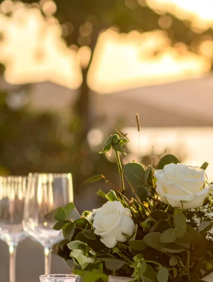 posate set aladdin bugatti aspirazionali verticale 01